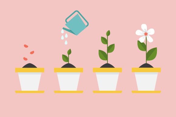 Download Timeline Infographic of Planting Tree - Infograph Collection
